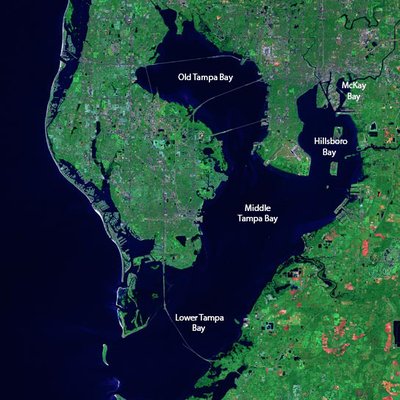 Tampa Bay logo