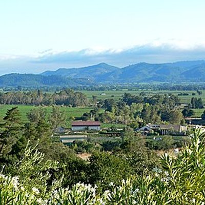 Napa County, California logo