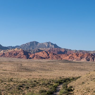 Clark County, Nevada logo
