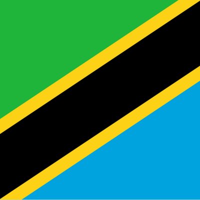 Tanzania logo