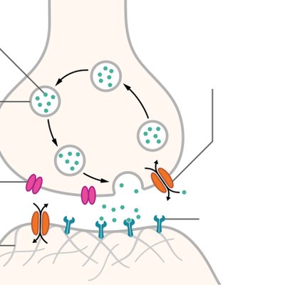 Neurotransmitter logo