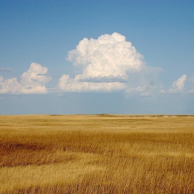 Prairie logo