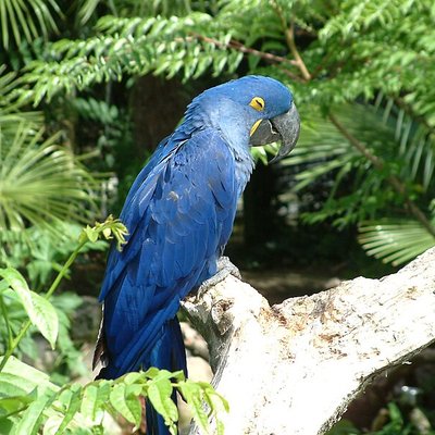 Parc des oiseaux