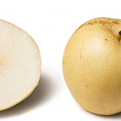 Pyrus pyrifolia
