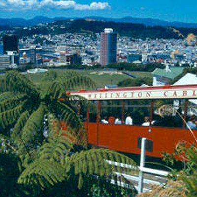 Wellington logo