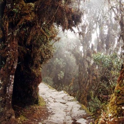 Inca Trail to Machu Picchu