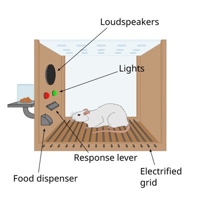 Reinforcement logo