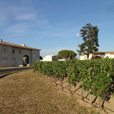 Pétrus (wine)