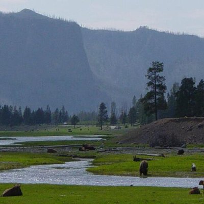 Greater Yellowstone Ecosystem logo