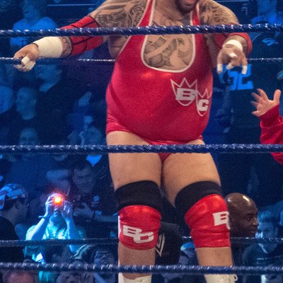 Brodus Clay