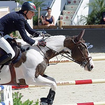 Michel Robert (equestrian)