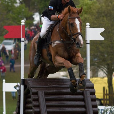 Andrew Nicholson (equestrian)