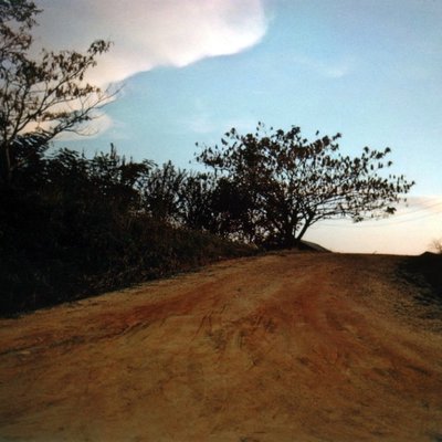 William Eggleston