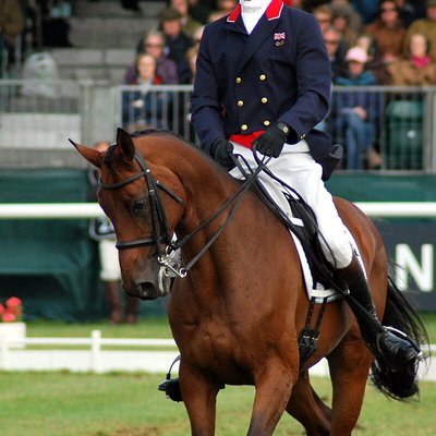 William Fox-Pitt