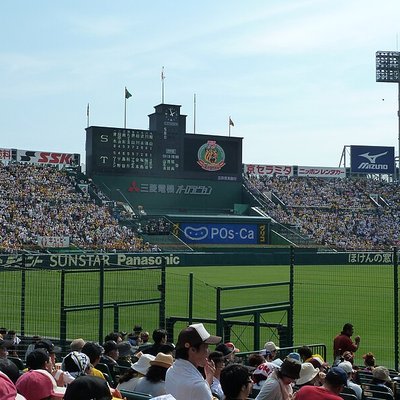 Hanshin Tigers
