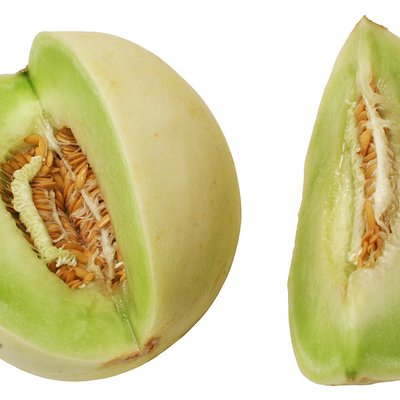 Honeydew (melon)