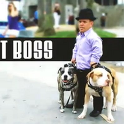 Pit Boss (TV series) logo