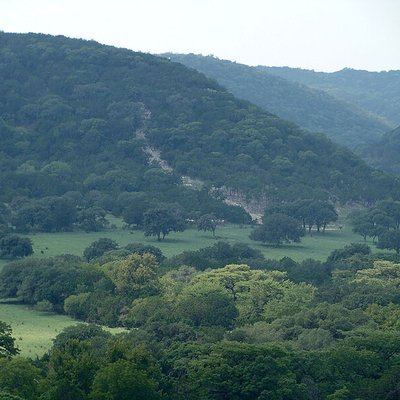 Texas Hill Country logo
