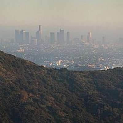 Hollywood Hills logo