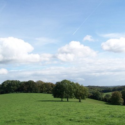 Chiltern Hills