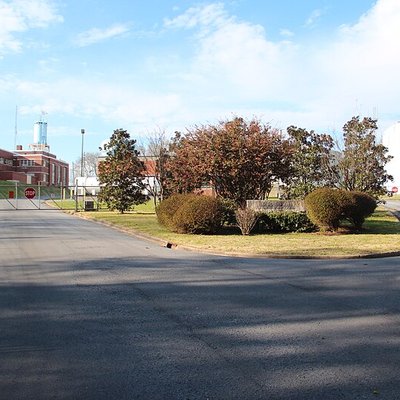 blossom hill