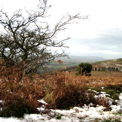 Quantock Hills