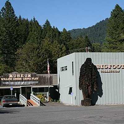 Willow Creek, California logo