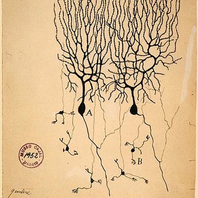 Society for Neuroscience