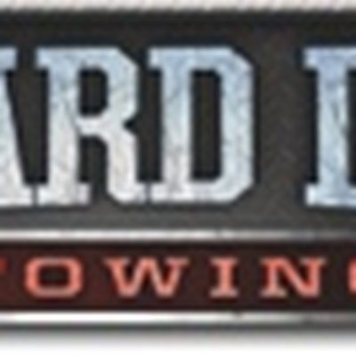 Lizard Lick Towing logo