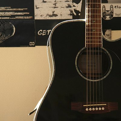 Takamine Guitars logo