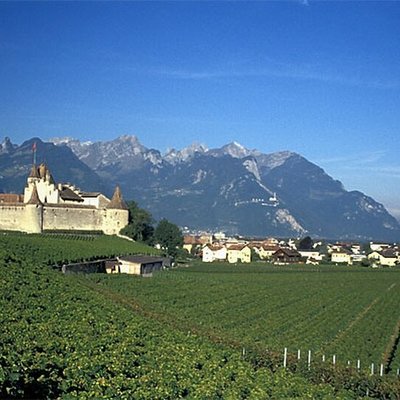 Aigle