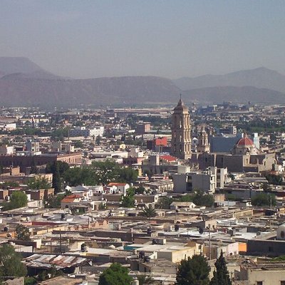 Saltillo logo