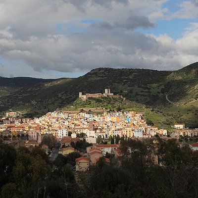 Bosa