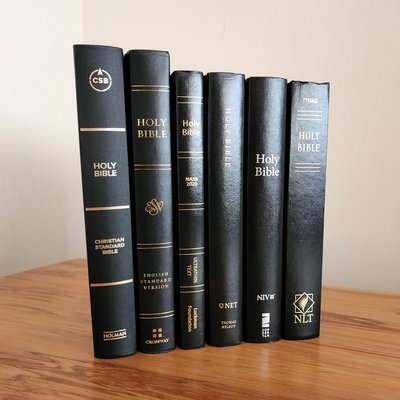 Bible translations logo