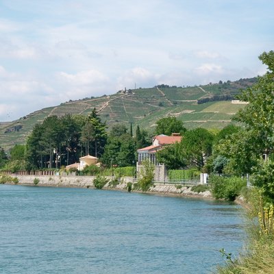 Côtes du Rhône AOC