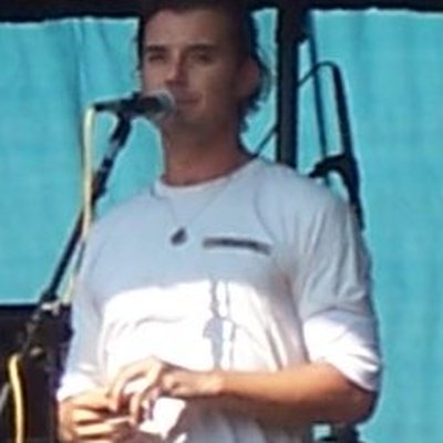 Bush (band) logo