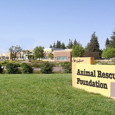 Animal Rescue Foundation