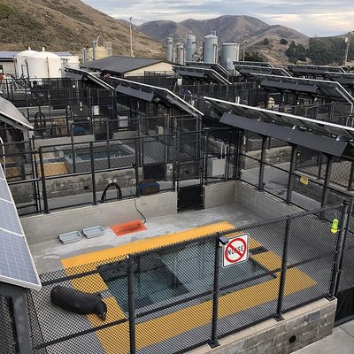 The Marine Mammal Center