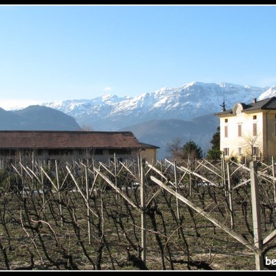 Trento DOC