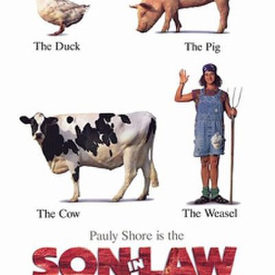 Son in Law logo