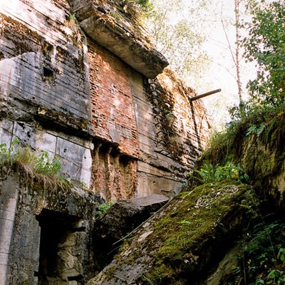 Wolf's Lair