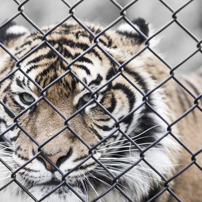 Symbio Wildlife Park