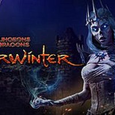 Neverwinter (video game)