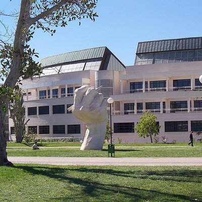 University of Alicante