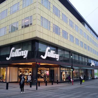 Salling (department store)