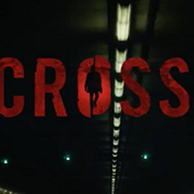 Alex Cross (novel series)