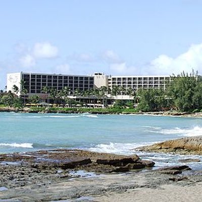Turtle Bay Resort logo