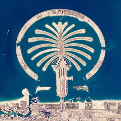 Sofitel Dubai The Palm Resort & Spa