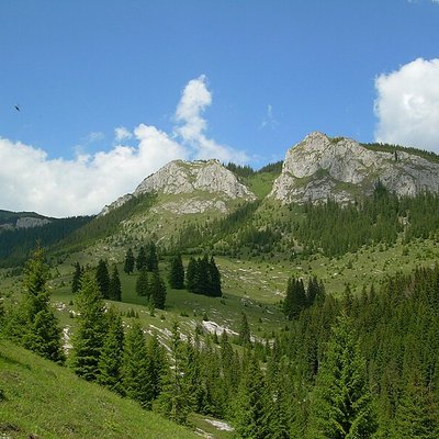 Apuseni Mountains