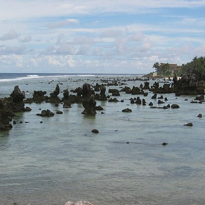 Nauru logo